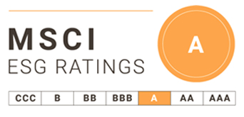 MSCI Rating
